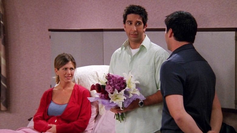 Friends 9. Sezon 1. Bölüm kapak